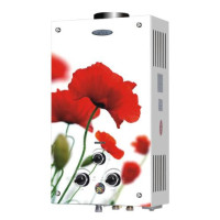 Водонагрівач газовий DION  JSD 10 дисплей (маки)  Poppy