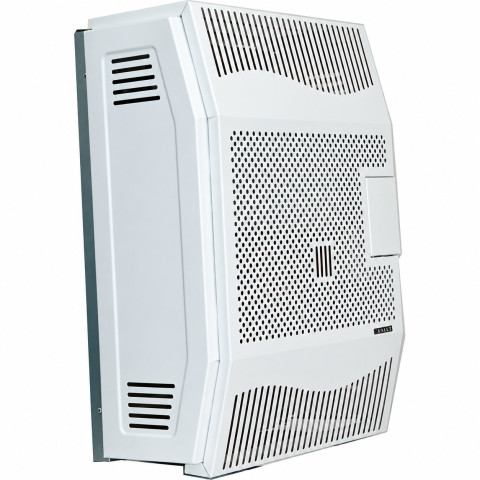 Газовый конвектор чугунный до 34 м² Canrey CHC-3T парапетный 3 кВт для частного дома 635х470х270 мм + труба