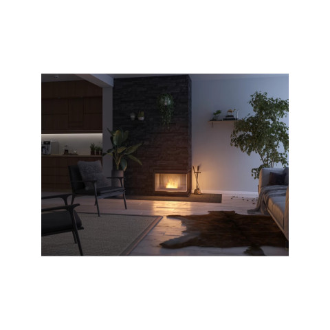 Біокамін Simple Fire SIMPLE BOX 500
