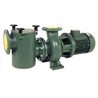 Відцентровий насос із префільтром Bombas Saci CF-2 750, 125 м3/год (12 м вод. стовпа), 5.5 кВт, 380 В