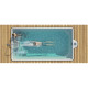 Композитний керамічний басейн Rhino Pools Bliss Reef Pearl (500 х 265 х 140 см)