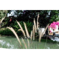 Озерна мембрана Natural Pools, Eco green 7219 зелена, армована 1.5 мм, 1.65мх25м