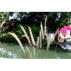 Озерна мембрана Natural Pools, Eco green 7219 зелена, армована 1.5 мм, 1.65мх25м