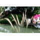 Озерна мембрана Natural Pools, Eco green 7219 зелена, армована 1.5 мм, 1.65мх25м