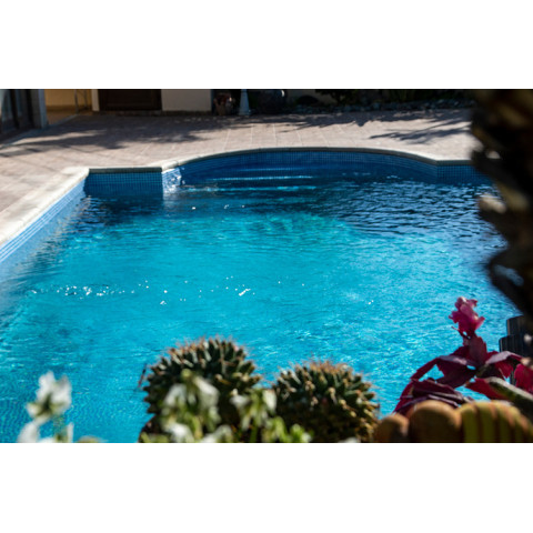 Армована мембрана StoneFlex, синя мозаїка MATRIX BLUE, 1,65 з лаковим покриттям