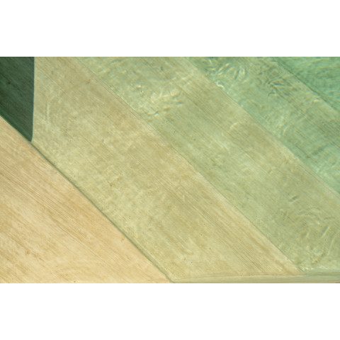 Армована мембрана, 3D Premium Collection, LARCH NATURE, 1,65 з лаковим покриттям