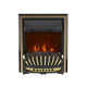 Електрокамін з ефектом полум'я декоративний Royal Flame Aspen Brass чорний