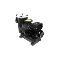 VARIO Magnus-4 750, 1450 rpm, 107 м3/год, 5,5 кВт, 400B, фланцеве підключення 110 мм, бронзова турбіна