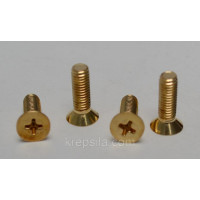 Винт латунный M5x15